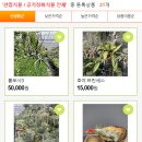 정화다방 이미지
