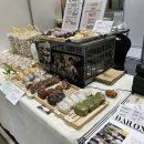 광주광역시 5.18교육관 대강의실 | 컨벤션센터]2022 광주 맛페스타x광주 주류페스타(부스참여후기, 맛페스타 후기, 김대중컨벤션센터 주차)