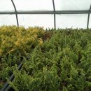 태안목장 이미지