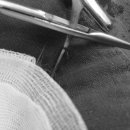 설악동물병원 이미지