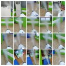 홍천체육관태권도장 이미지