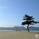 갈음이해수욕장 Daum카페
