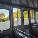 이디야카페 불로점 건너편 횡단보도 | 부산역 근처 가볼만한곳 태종대｜다누비열차 코스·요금·전망대 후기