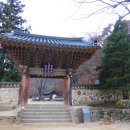 순천-13호 Daum카페