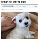규 이미지
