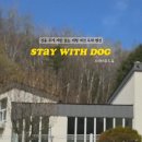 스테이위드독 이미지