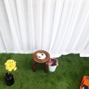 예쁘개# 애견미용실 이미지