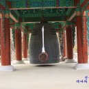 제주공주 Daum카페