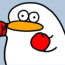 함상명 복싱클럽 이미지