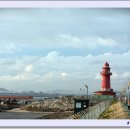 황궁복집 이미지