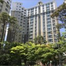 서구-01-11 이미지