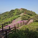 송해면-4 | 강화 고려산 산행(진달래 군락지)