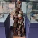 부천시립박물관 이미지