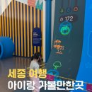 호수공원중앙수목원로 | 세종 주말에 아이랑 가볼만한곳 BEST 5 추천_체험 중심, 다양한 경험 가능, 세종 현지인 추천