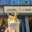 (주)프리것버드 이미지