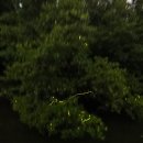 코타제주 이미지