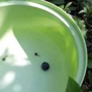 유니콘농장 이미지