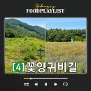 원주굽이길 4코스 꽃양귀비길 | 원주 굽이길 4코스 꽃양귀비길 쉽지 않았던 12km 트레킹