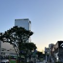 광오지마을 | 첫 블로그 일상 포토덤프 챌린지 도전 6월도 잘가