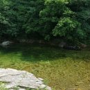 주천농협주유소 이미지