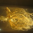 대한이화학 이미지