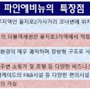 종합환경파인