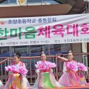 조양초등학교 이미지