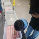 창녕우포곤충나라 이미지