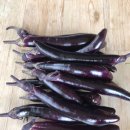 수선농장 이미지