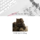 거금도 청석 오토캠핑장 이미지