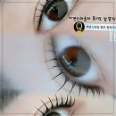 Feel뷰티 | 청주 찐 실력템 찾았다! 뷰티다인에서 인생 속눈썹 갱신하고 옴