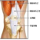 등산할때 무릎 아픈 사람~~~~ 이미지