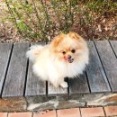 오늘 더 예쁘개 이미지