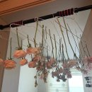 켈리플레르