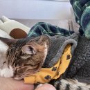 나에게 온날 이미지