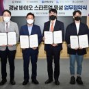 하이대웅