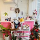 봉덕2동 주민센터 | [대구 꽃집] 대구 남구에서 가장 트랜디한 꽃집 &#39;플라워올라&#39; 후기