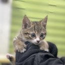 짱구네동물병원 이미지