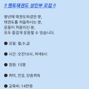 용인대 멘토 태권도장 이미지