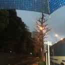 237커피(COFFEE) 이미지