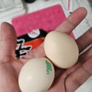 후니농장 | 자연방사유정란 고소한 맛 올래농장 자연방사 백봉오골계 유정란 30알 후기!!!
