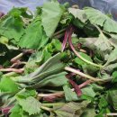 연한농장 이미지