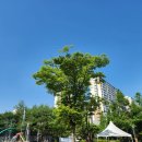 현화근린 이미지