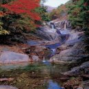 늘빛강가 이미지