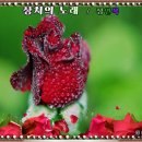 상처의 노래 - 정연복 이미지