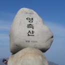 최영상회 이미지