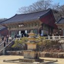 🎄느리게 혼자 가는 사찰 여행(15)🎄金井山 梵魚寺