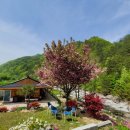 부연계곡황토방 이미지