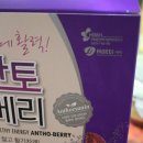 안토베리