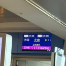 332 | [베이징] 아시아나에어 OZ333 / OZ332 탑승 후기 (A321neo, 좌석, 거치대, 영상 종류, 기내식)